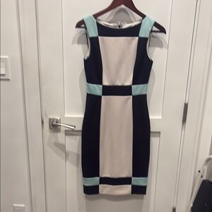 Maggy London Black and White Sheath Midi Dress
